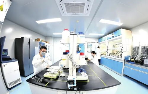 辛小湘丨促進(jìn)民營(yíng)經(jīng)濟(jì)高質(zhì)量發(fā)展的湖南答案 生物技術(shù)開(kāi)發(fā)服務(wù)的創(chuàng)新與實(shí)踐